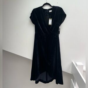 NWT Cefinn sz 8 blue velvet dress w/ short sleeves and tulip skirt.